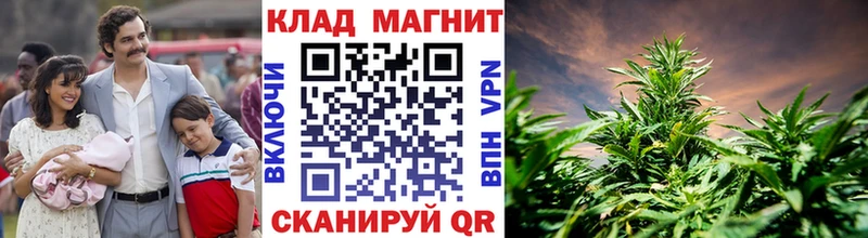 Как найти наркотики Волосово ГАШИШ  МАРИХУАНА  Меф 