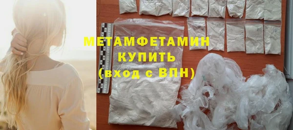 прущие грибы Волосово