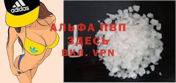прущие грибы Волосово