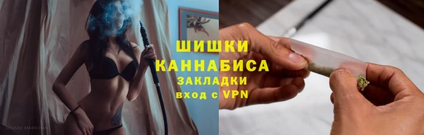 прущие грибы Волосово