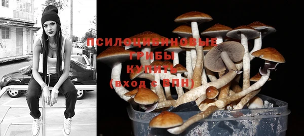 молекула духа Верхний Тагил