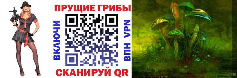 mega ссылки  Волосово  Галлюциногенные грибы GOLDEN TEACHER  как найти закладки 